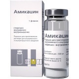 Купить амикацин, порошок для приготовления раствора для внутривенного и внутримышечного введения 1г, флакон в Нижнем Новгороде