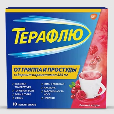 Купить терафлю от гриппа и простуды, порошок для приготовления раствора для приема внутрь, лесные ягоды, пакетики 11,5г, 10 шт в Нижнем Новгороде