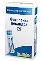 Купить фитолакка декандра c9, гранулы гомеопатические растительного происхождения, 4г в Нижнем Новгороде