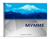 Купить мумие, таблетки 200мг, 60 шт бад в Нижнем Новгороде
