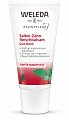 Weleda (Веледа) бальзам для десен с Шалфеем, серебром и лекарственными травами, 30мл