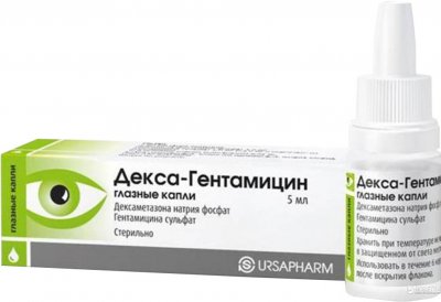 Купить декса-гентамицин, капли глазные, флакон-капельница 5мл в Нижнем Новгороде