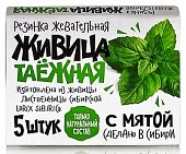 Купить живица таежная, жевательная резинка с мятой, 5 шт в Нижнем Новгороде