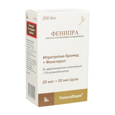 Купить фенипра, аэрозоль для ингаляций дозированный 20мкг+50мкг/доза, 200доз в Нижнем Новгороде