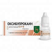 Купить оксибупрокаин, капли глазные 0,4%, флакон-капельница 5мл в Нижнем Новгороде