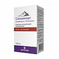Купить сальмекорт, аэрозоль для ингаляций дозированный 25мкг+250мкг/доза, 120доз в Нижнем Новгороде