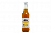 Купить сироп имбирный на фруктозе с лимоном доктор нутришин, флакон 250мл бад в Нижнем Новгороде