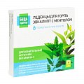 Купить леденцы для горла будь здоров! эвкалипт с ментолом, 9 шт бад в Нижнем Новгороде
