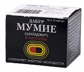 Купить мумие шиладжит, капсулы 265мг, 100 шт бад в Нижнем Новгороде