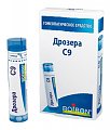 Купить дрозера с9, гомеопатический монокомпонентный препарат растительного происхождения, гранулы гомеопатические 4 г в Нижнем Новгороде