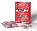 Живица сибирская смолка жевательная из смолы лиственницы с клюквой в глазури, 5 шт