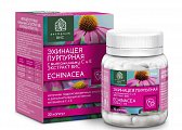 Купить эхинацея пурпурная с витаминами с и е экстракт вис, капсулы массой 350мг, 30 шт бад в Нижнем Новгороде
