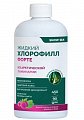 Купить snow sea хлорофилл форте жидкий со вкусом малины и мяты, 450 мл бад в Нижнем Новгороде