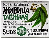 Купить живица таежная, жевательная резинка с эвкалиптом, 5 шт в Нижнем Новгороде