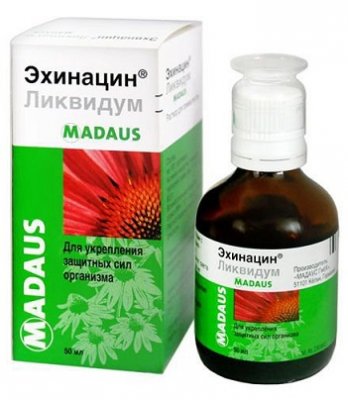 Купить эхинацин ликвидум, раствор для приема внутрь, фл 50мл в Нижнем Новгороде