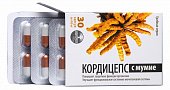 Купить кордицепс с мумие грибная серия, капсулы 450мг, 30 шт бад в Нижнем Новгороде