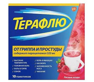 ТераФлю от гриппа и простуды, порошок для приготовления раствора для приема внутрь, лесные ягоды, пакетики 11,5г, 10 шт