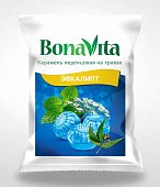 Купить bonavita (бона вита) карамель леденцовая на травах эвкалипт с витамином с, пакет 60г бад в Нижнем Новгороде