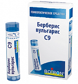 Купить берберис вульгарис с9 гранулы гомеопатические 4г в Нижнем Новгороде