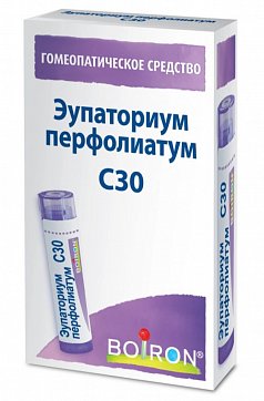 Эупаториум перфолиатум С30, гомеопатический монокомпонентный препарат растительного происхождения, гранулы гомеопатические 4 гр 