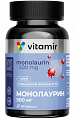 Купить монолаурин иммуно комплекс витамир, капсулы 60шт бад в Нижнем Новгороде
