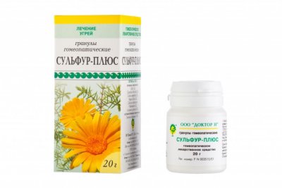 Купить сульфур-плюс, гранулы гомеопатические, 20г в Нижнем Новгороде