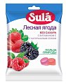 Купить зула (sula) леденцы для диабетиков лесная ягода, 60г в Нижнем Новгороде