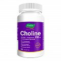 Купить холин 350мг, таблетки массой 1200мг 60 шт бад в Нижнем Новгороде