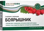 Купить green side (грин сайд) боярышник с калием и магнием, таблетки  40 шт. бад в Нижнем Новгороде