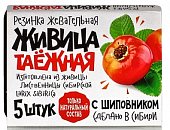 Купить живица таежная, жевательная резинка с шиповником, 5 шт в Нижнем Новгороде