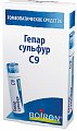 Купить гепар сульфур с9, гомеопатический монокомпонентный препарат минерально-химического происхождения, гранулы гомеопатические 4 гр  в Нижнем Новгороде
