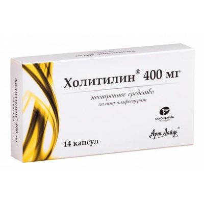 Купить холитилин, капсулы 400мг, 14 шт (банка) в Нижнем Новгороде
