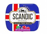 Scandic (Скандик) конфеты без сахара, лесные ягоды, 14 г, 1 шт