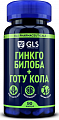 Купить gls (глс) гинкго билоба+готу кола, капсулы массой 380мг, 90шт бад в Нижнем Новгороде