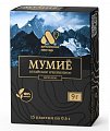 Купить мумие алтайский нектар, пластины массой 6г, 15 шт бад в Нижнем Новгороде