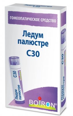 Купить ледум палюстре с30, гомеопатический монокомпонентный препарат растительного происхождения, гранулы гомеопатические 4 гр в Нижнем Новгороде