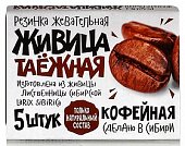 Купить живица таежная, жевательная резинка с экстрактом кофейных зёрен, 5 шт в Нижнем Новгороде